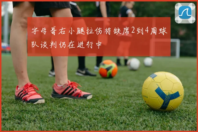 字母哥右小腿拉伤将缺席2到4周球队谈判仍在进行中