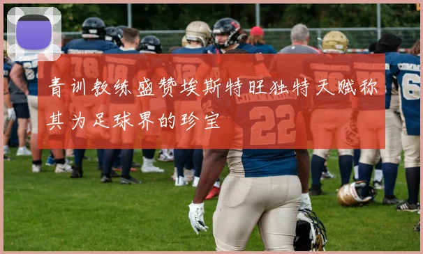 青训教练盛赞埃斯特旺独特天赋称其为足球界的珍宝