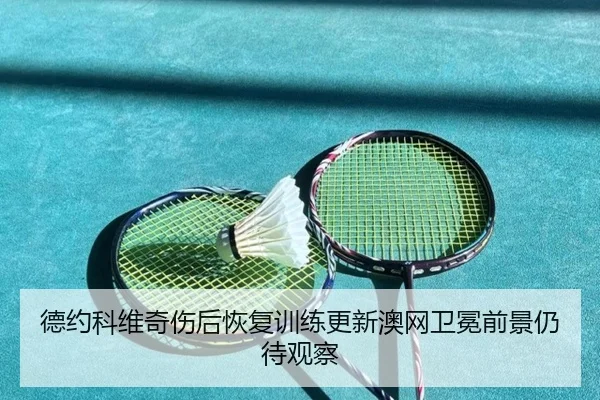 德约科维奇伤后恢复训练更新澳网卫冕前景仍待观察(12bet)